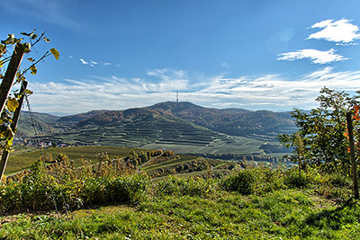 Weinanbaugebiet Kaiserstuhl